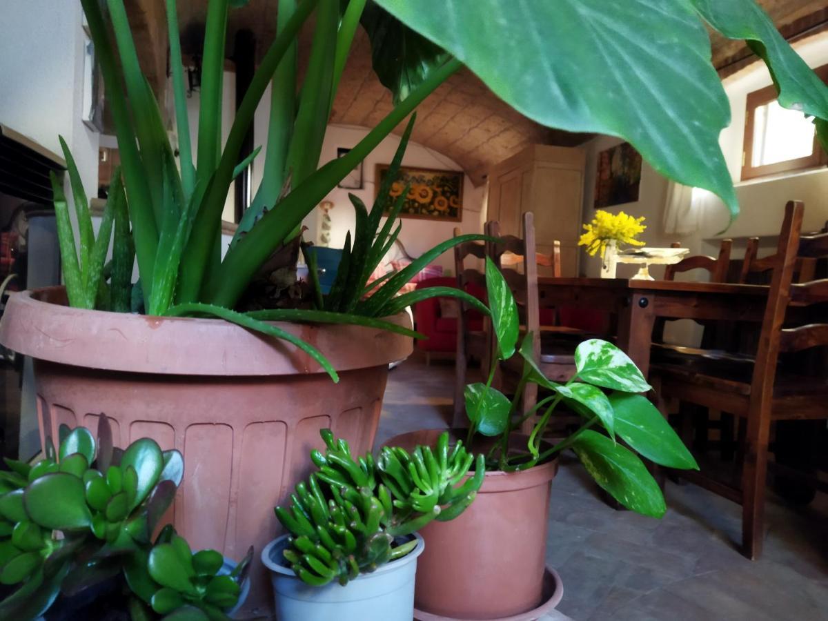 Romantic Loft Pitigliano Zewnętrze zdjęcie